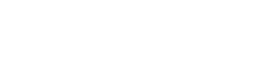الملك فيصل